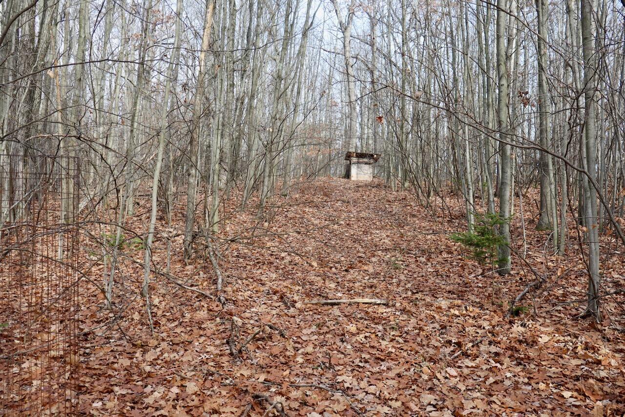 6495 Jackson Avenue, Lake, MI, 48632-9225