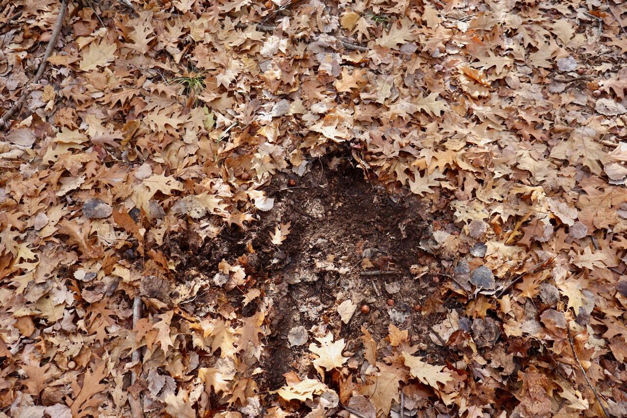 6495 Jackson Avenue, Lake, MI, 48632-9225