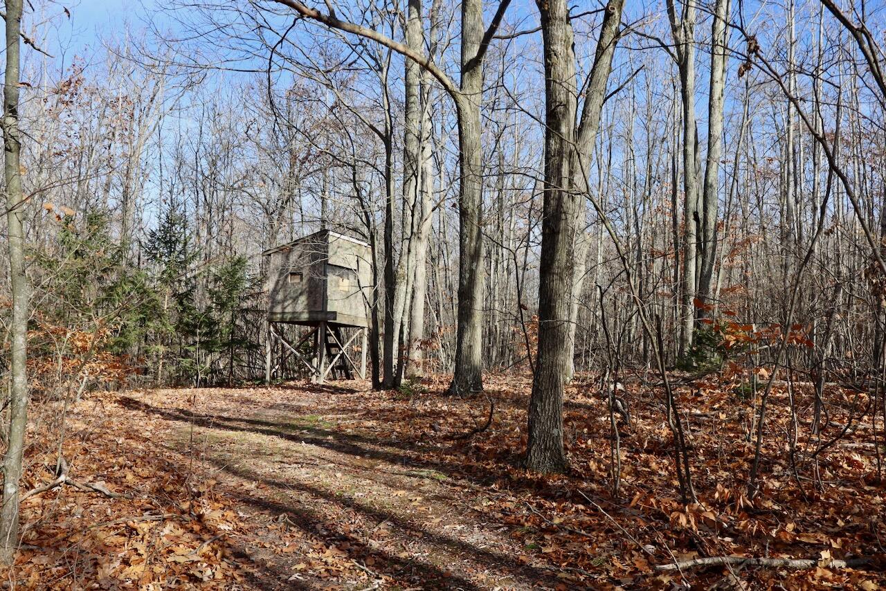 6495 Jackson Avenue, Lake, MI, 48632-9225