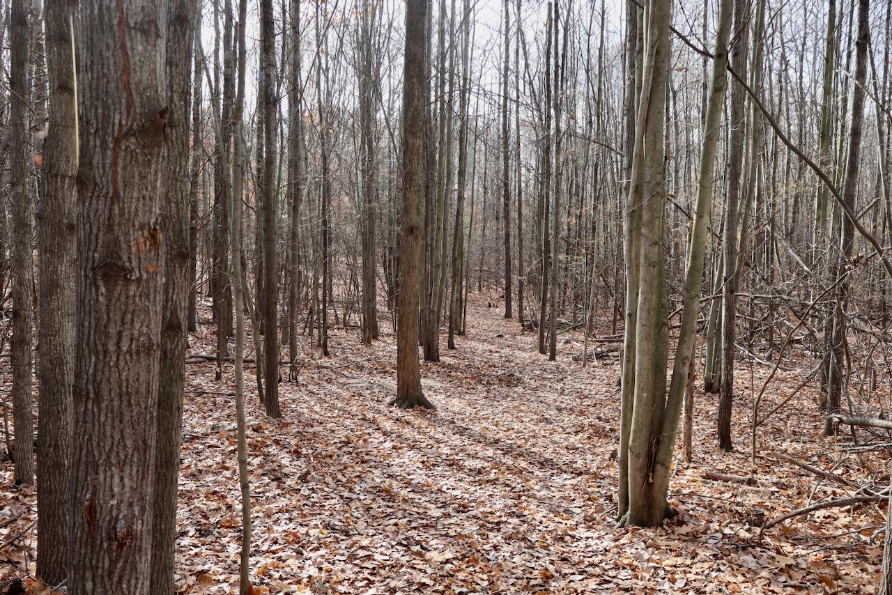 6495 Jackson Avenue, Lake, MI, 48632-9225