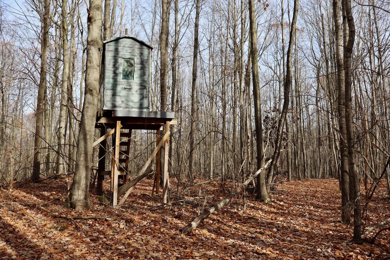 6495 Jackson Avenue, Lake, MI, 48632-9225