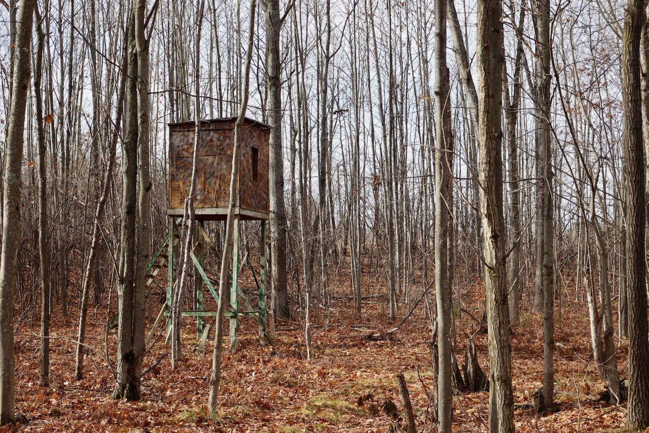 6495 Jackson Avenue, Lake, MI, 48632-9225