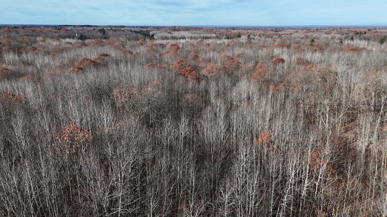 6495 Jackson Avenue, Lake, MI, 48632-9225