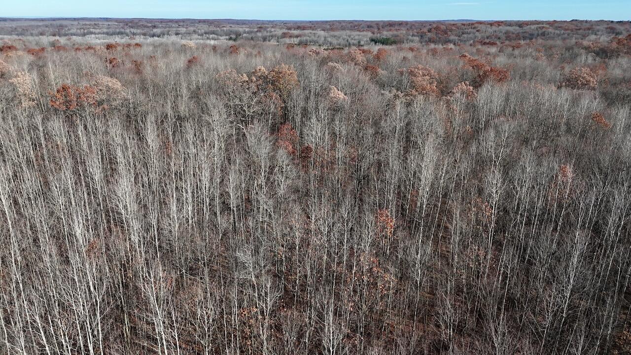 6495 Jackson Avenue, Lake, MI, 48632-9225