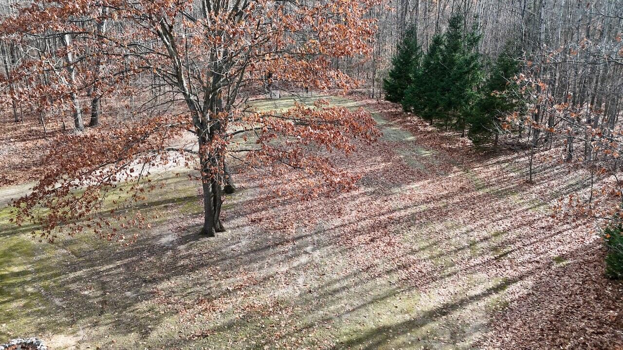 6495 Jackson Avenue, Lake, MI, 48632-9225