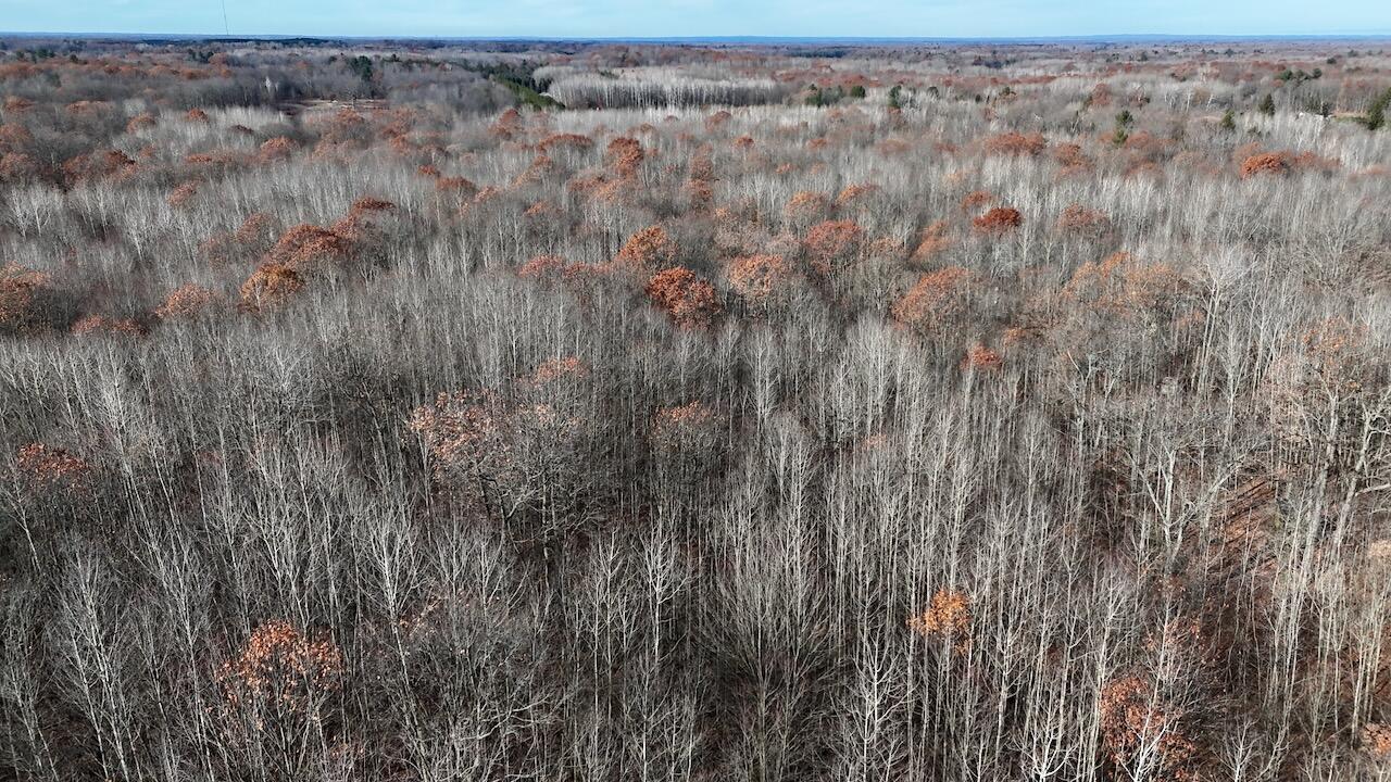 6495 Jackson Avenue, Lake, MI, 48632-9225