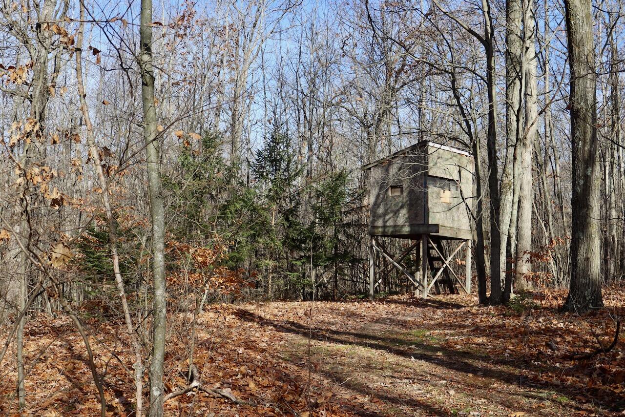 6495 Jackson Avenue, Lake, MI, 48632-9225