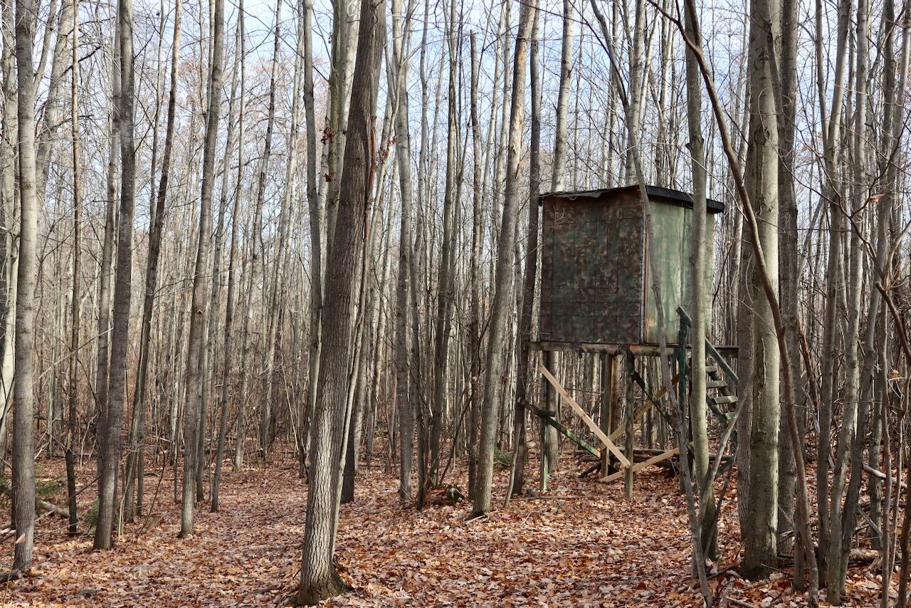 6495 Jackson Avenue, Lake, MI, 48632-9225