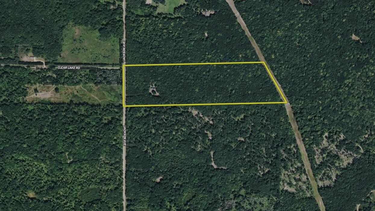 6495 Jackson Avenue, Lake, MI, 48632-9225