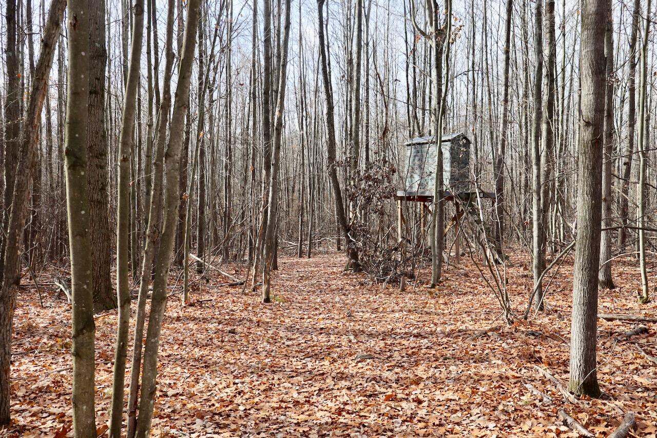 6495 Jackson Avenue, Lake, MI, 48632-9225