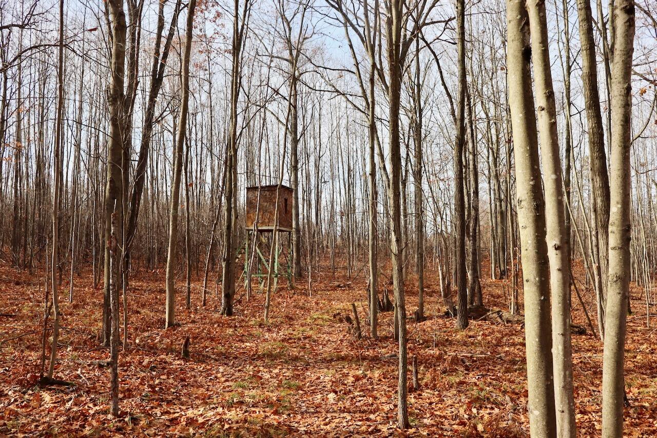 6495 Jackson Avenue, Lake, MI, 48632-9225