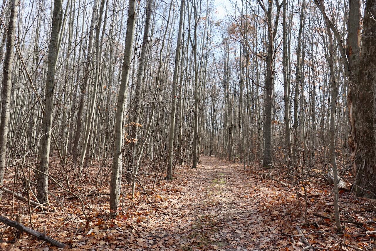 6495 Jackson Avenue, Lake, MI, 48632-9225