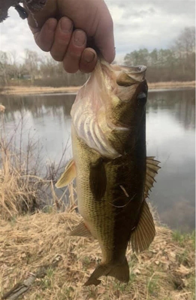 520 N Campbell Road, Fountain, MI, 49410-9605