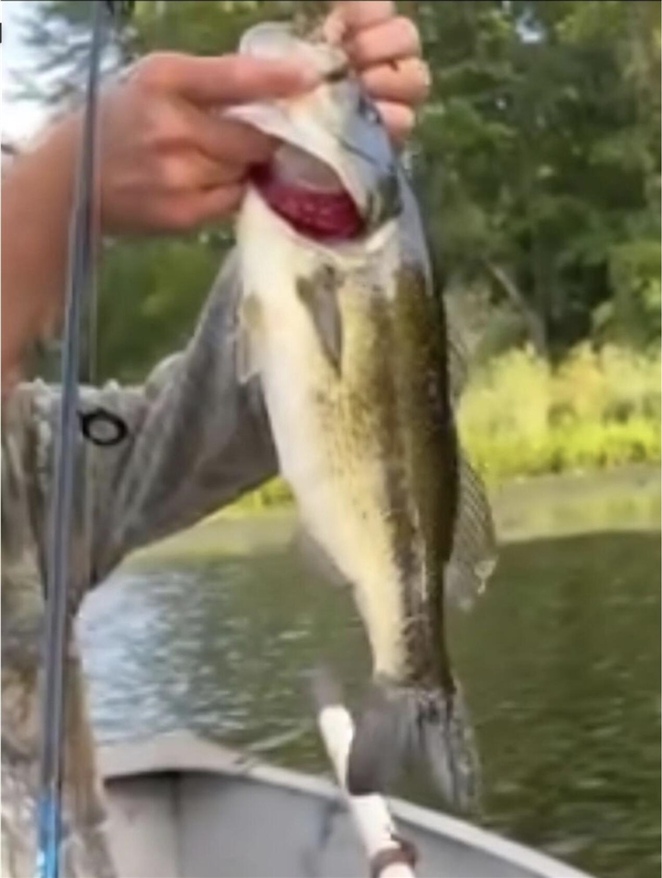 520 N Campbell Road, Fountain, MI, 49410-9605