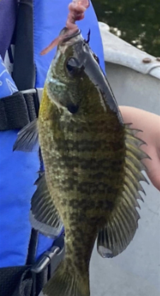 520 N Campbell Road, Fountain, MI, 49410-9605