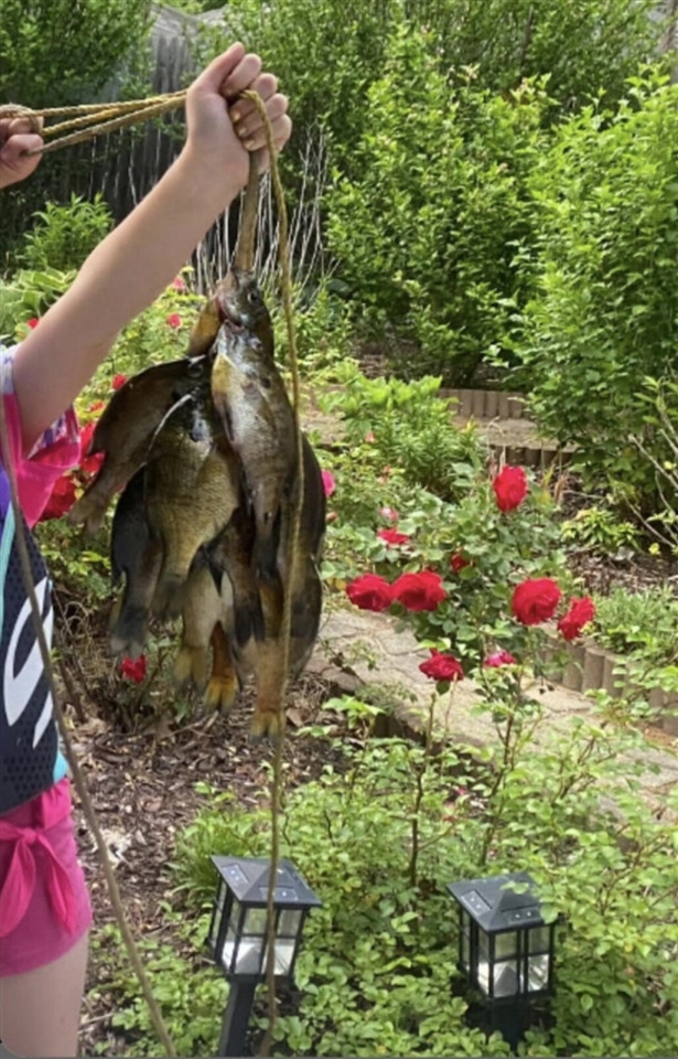 520 N Campbell Road, Fountain, MI, 49410-9605