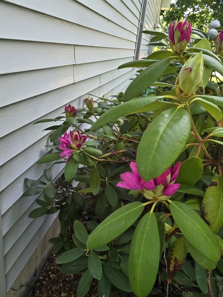 2940 Eldora Court, Byron Center, MI, 49315-9731