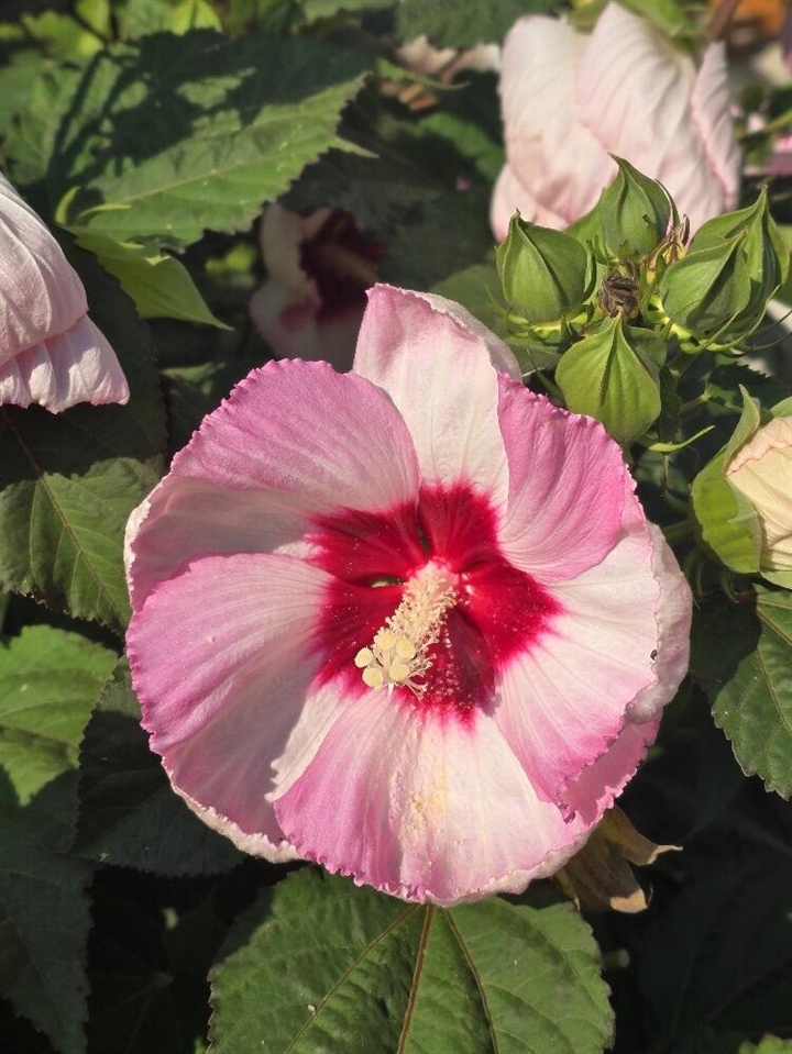 2940 Eldora Court, Byron Center, MI, 49315-9731