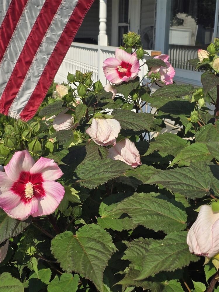 2940 Eldora Court, Byron Center, MI, 49315-9731