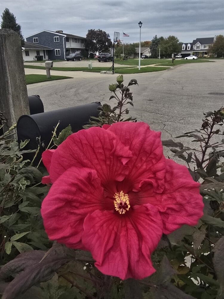 2940 Eldora Court, Byron Center, MI, 49315-9731