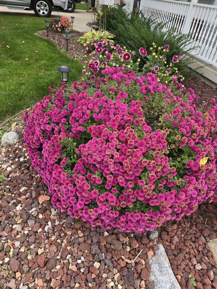 2940 Eldora Court, Byron Center, MI, 49315-9731