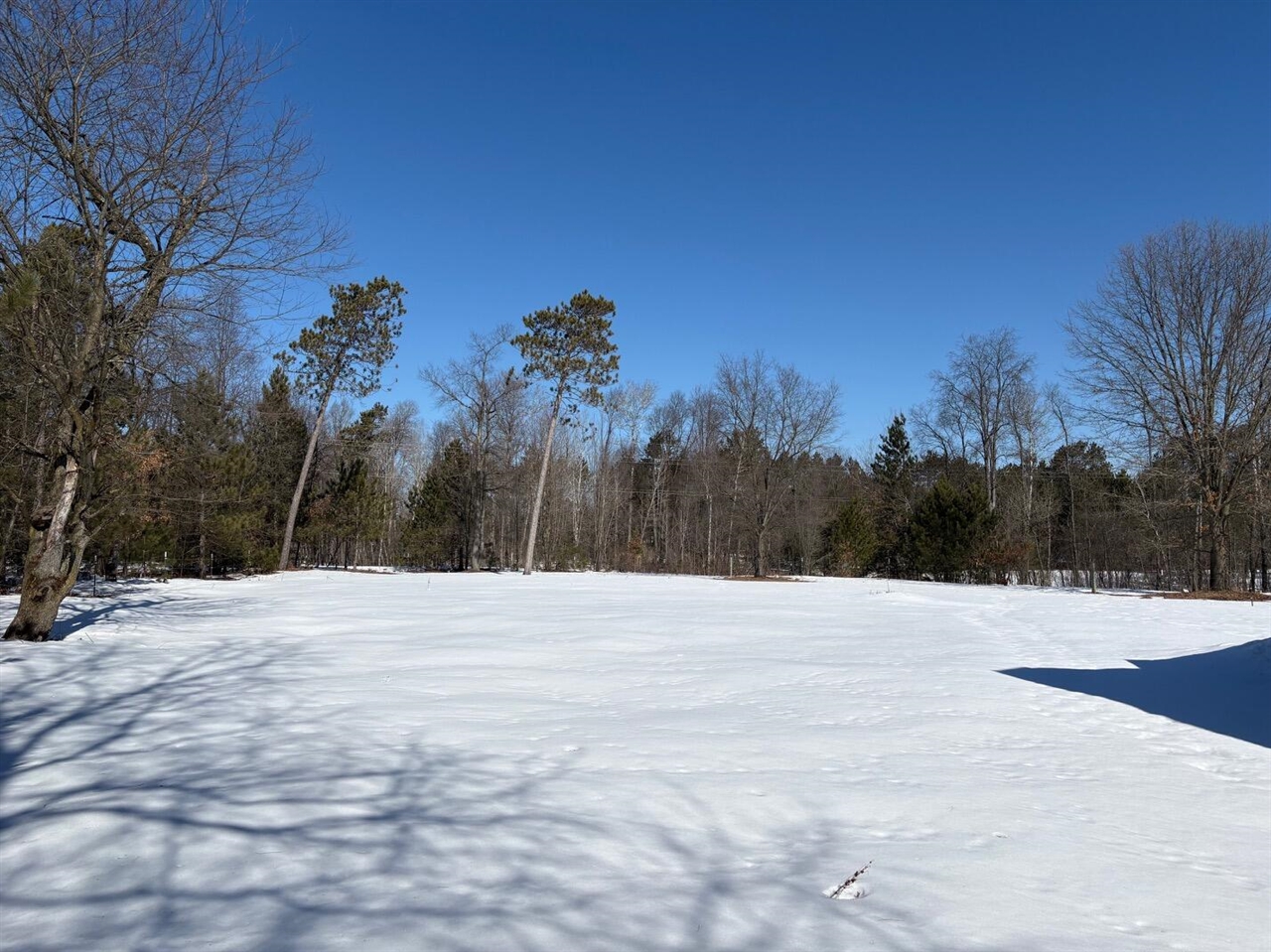 12355 9 Mile Road, Kaleva, MI, 49645-9603