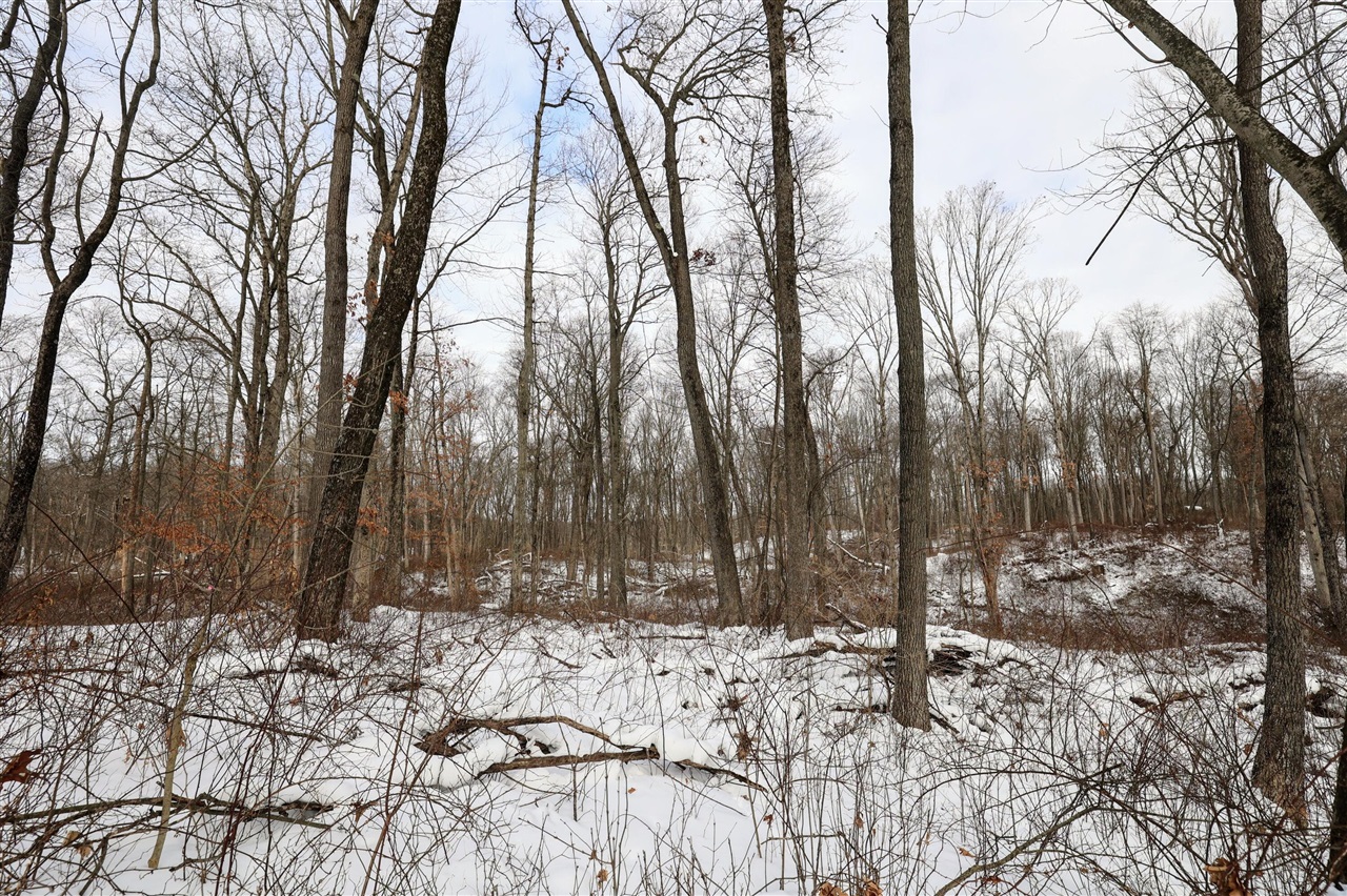 Homes for sale in Bellevue, MI | 11150 W Dr, Bellevue, MI 49021 | MLS# 70517922