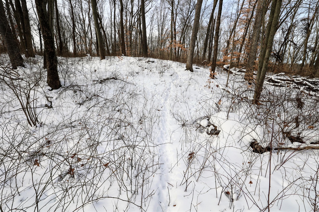 Homes for sale in Bellevue, MI | 11150 W Dr, Bellevue, MI 49021 | MLS# 70517922