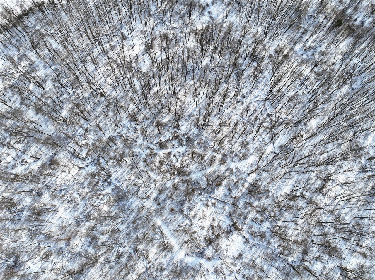 Homes for sale in Bellevue, MI | 11150 W Dr, Bellevue, MI 49021 | MLS# 70517922