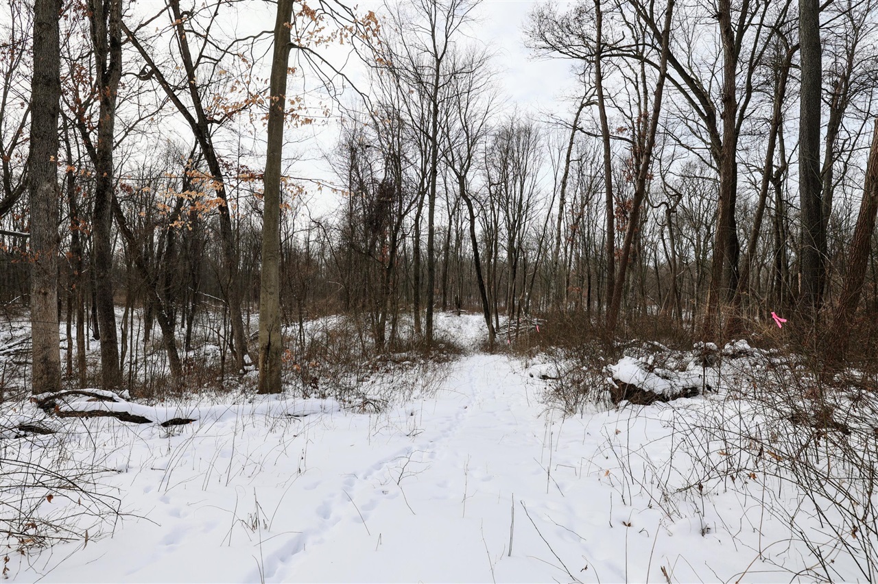 Homes for sale in Bellevue, MI | 11150 W Dr, Bellevue, MI 49021 | MLS# 70517922