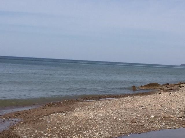 Homes for sale in Fennville, MI | 0 Leapfrog Ln, Fennville, MI 49408 | MLS# 70517923