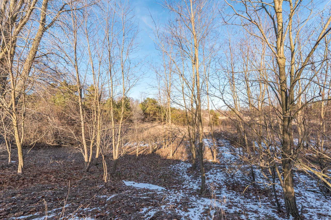 19820 Ivey Road, Chelsea, MI, 48118-9479