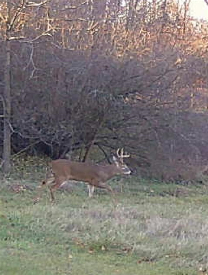 19820 Ivey Road, Chelsea, MI, 48118-9479