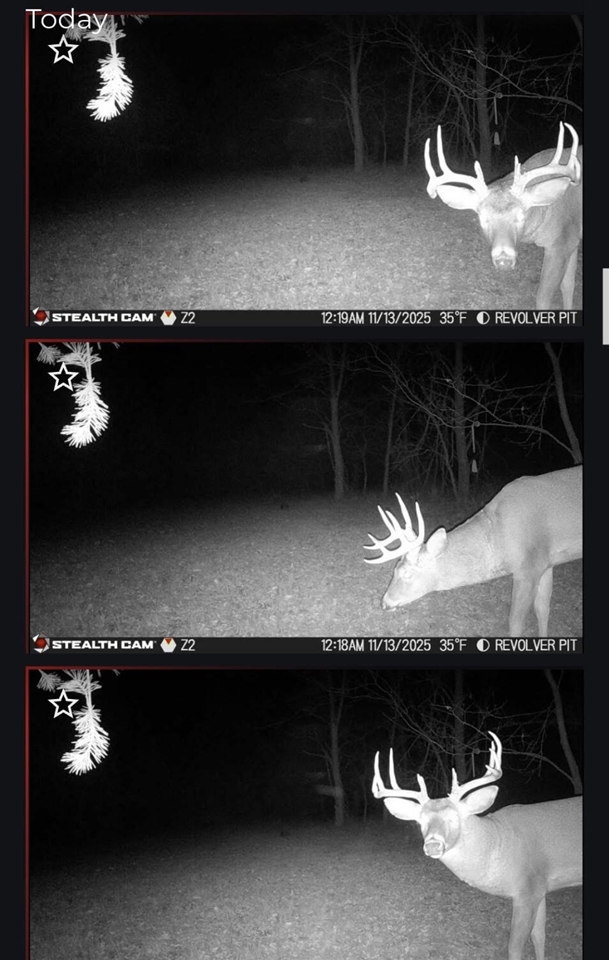 19820 Ivey Road, Chelsea, MI, 48118-9479