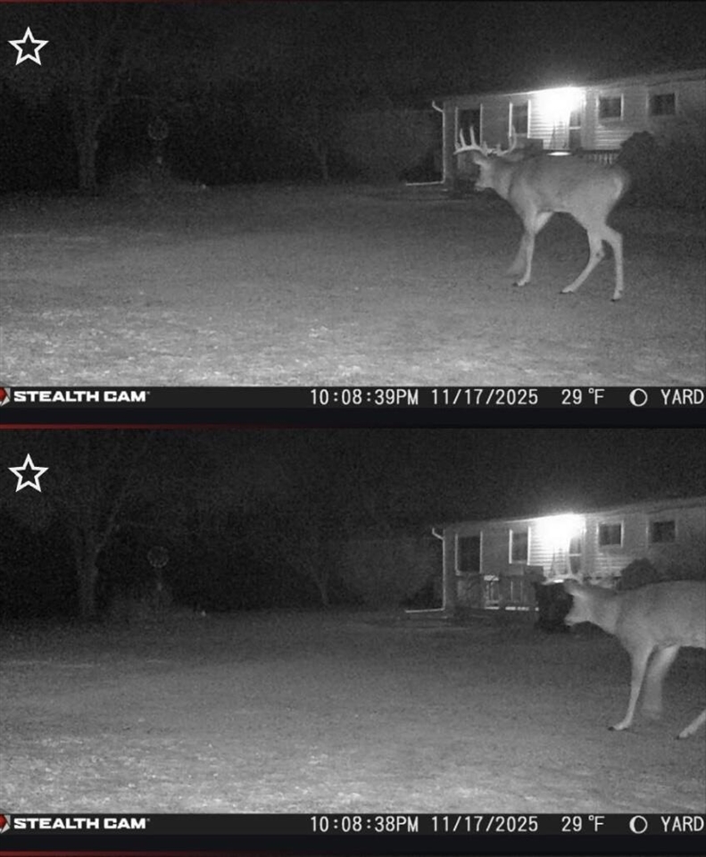 19820 Ivey Road, Chelsea, MI, 48118-9479