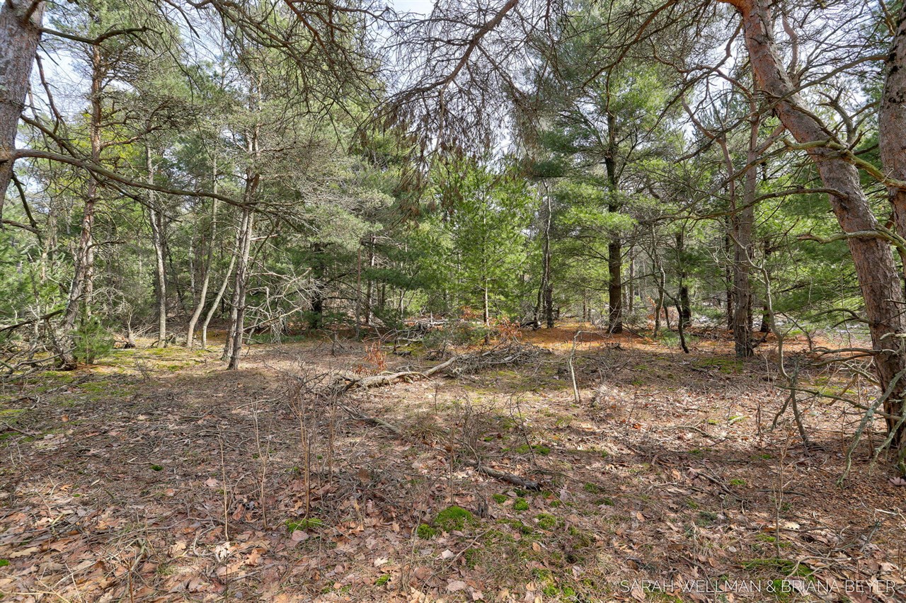 VL Hiawatha Drive, West Olive, MI, 49460-9756