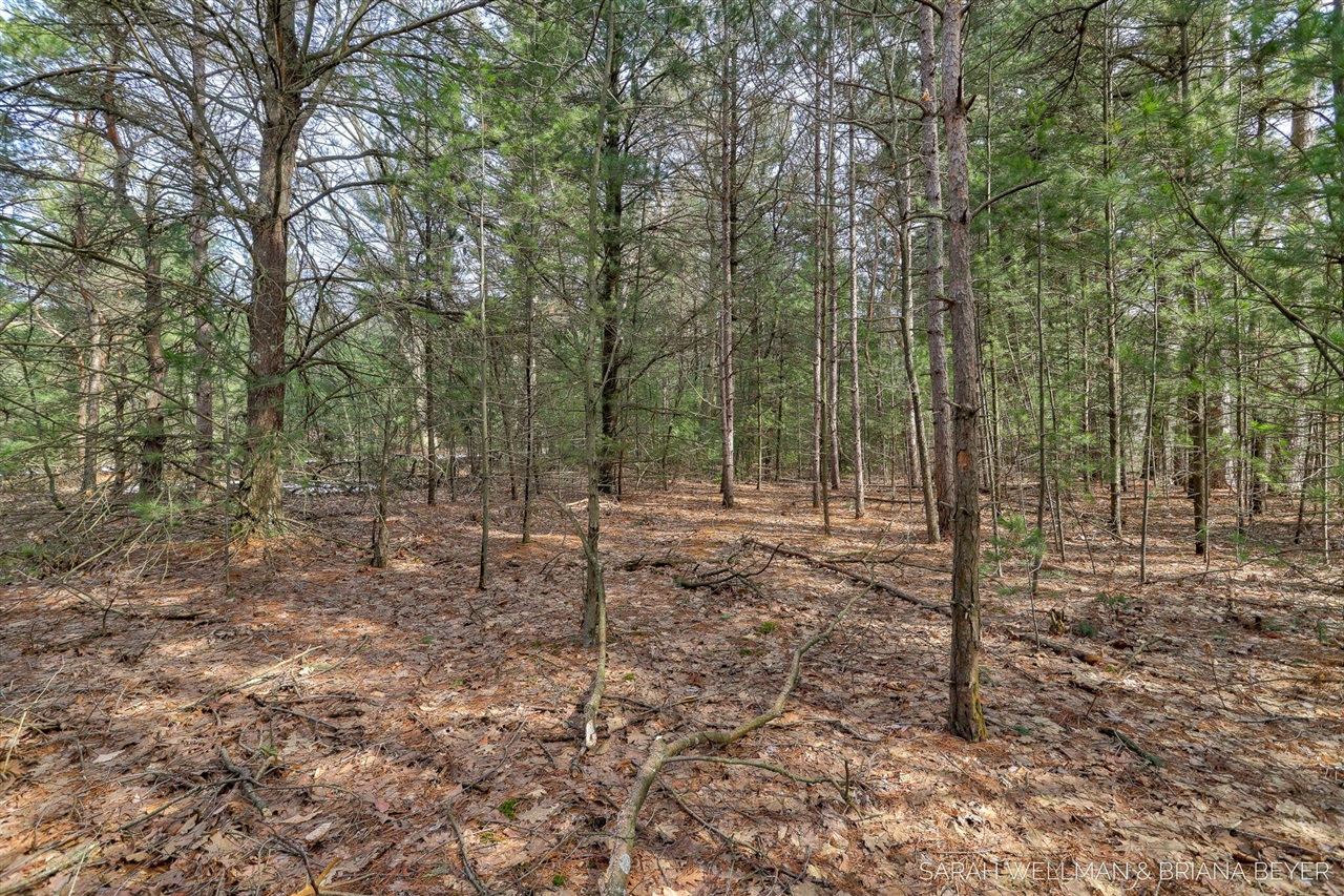 VL Hiawatha Drive, West Olive, MI, 49460-9756