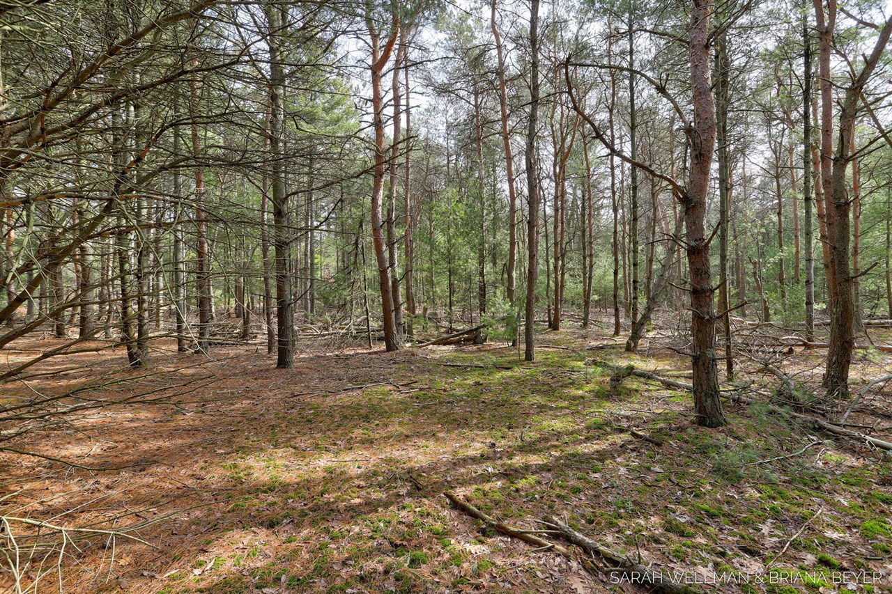 VL Hiawatha Drive, West Olive, MI, 49460-9756