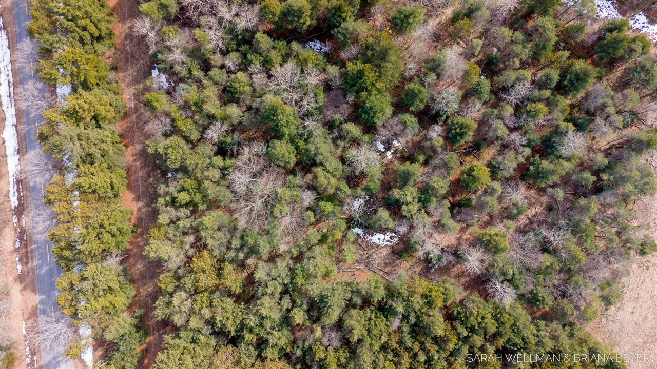 VL Hiawatha Drive, West Olive, MI, 49460-9756