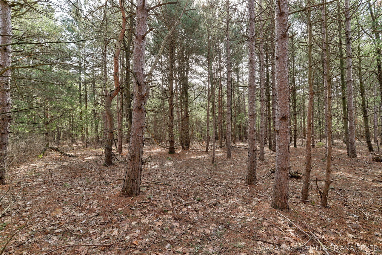 VL Hiawatha Drive, West Olive, MI, 49460-9756