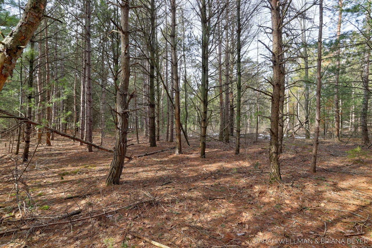 VL Hiawatha Drive, West Olive, MI, 49460-9756