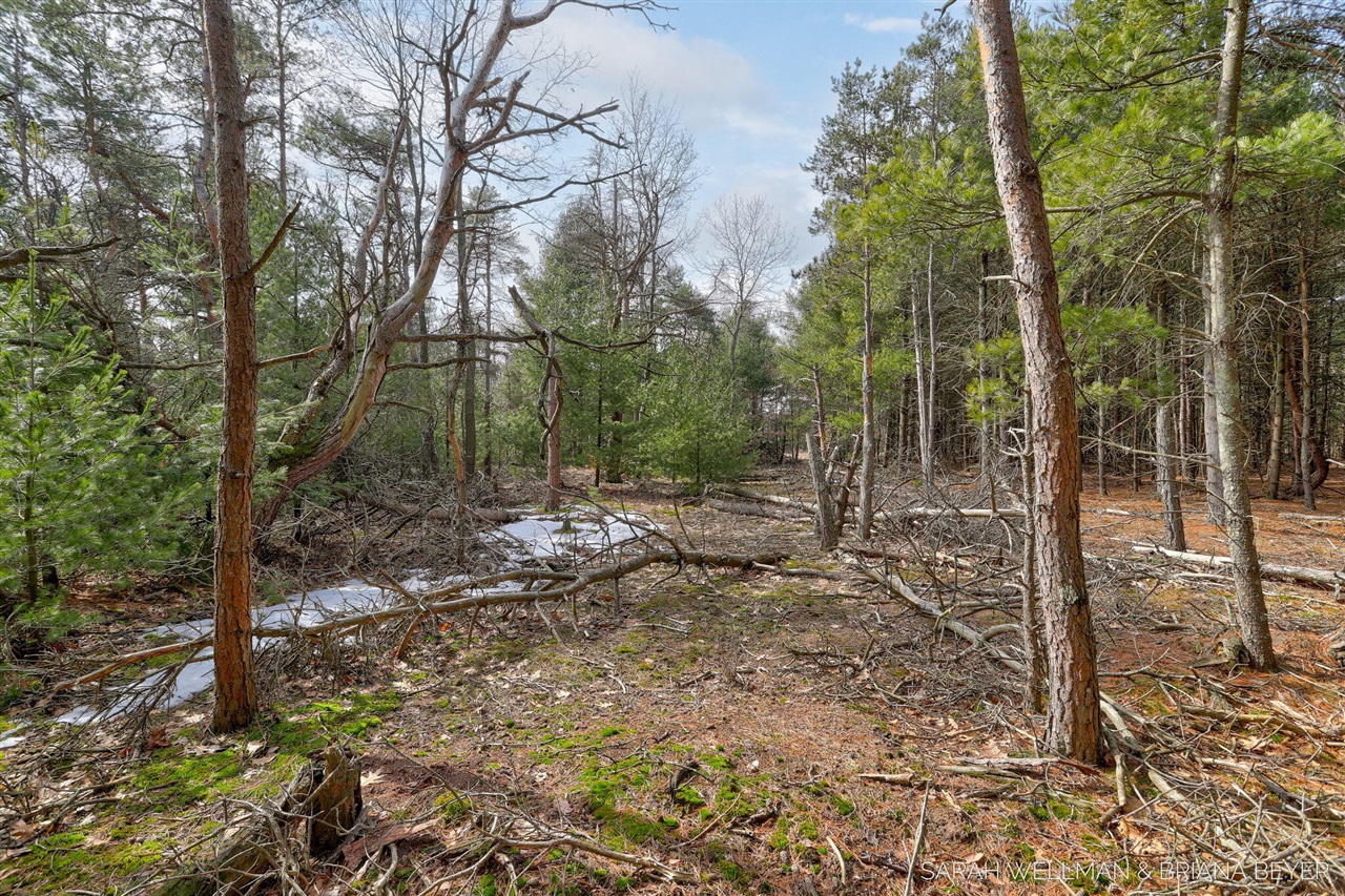 VL Hiawatha Drive, West Olive, MI, 49460-9756