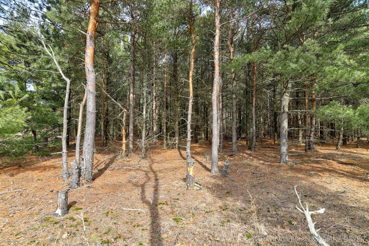 VL Hiawatha Drive, West Olive, MI, 49460-9756