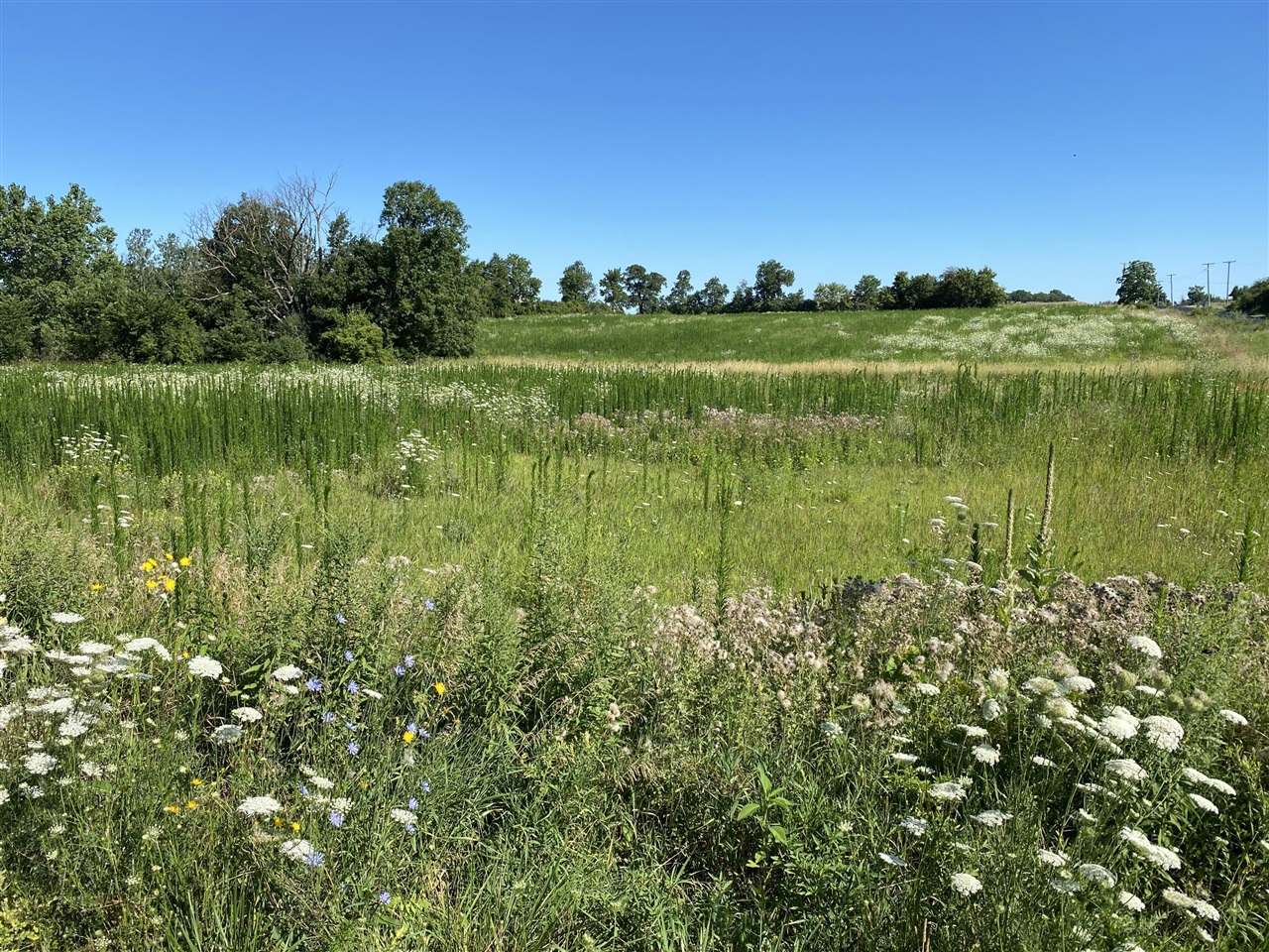 S Zeeb Road, Ann Arbor, MI, 48103