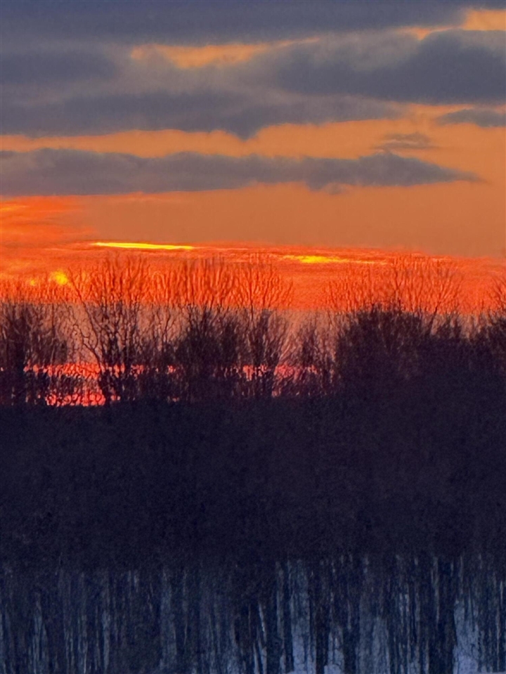 251 Stonecrest Drive, Shelby, MI, 49455-9234