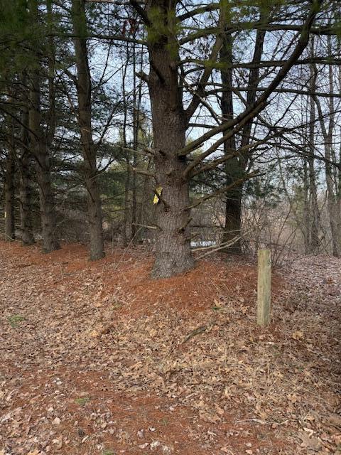 Photo of property for sale at 4311 S Youngman Road, Greenville MI 48838-9213