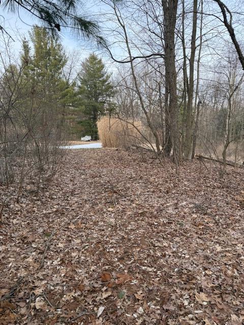 4311 S Youngman Road photo 3