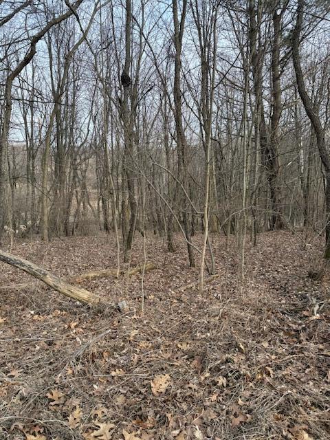 4311 S Youngman Road photo 5