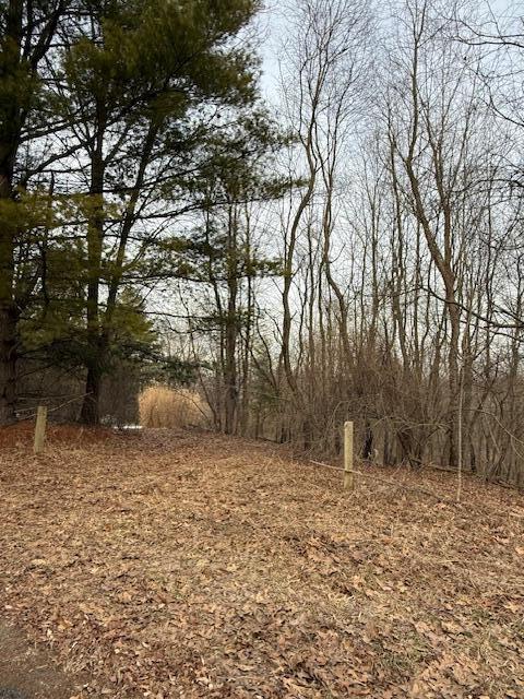 4311 S Youngman Road photo 6