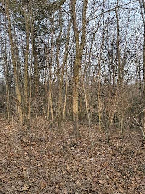 4311 S Youngman Road photo 7